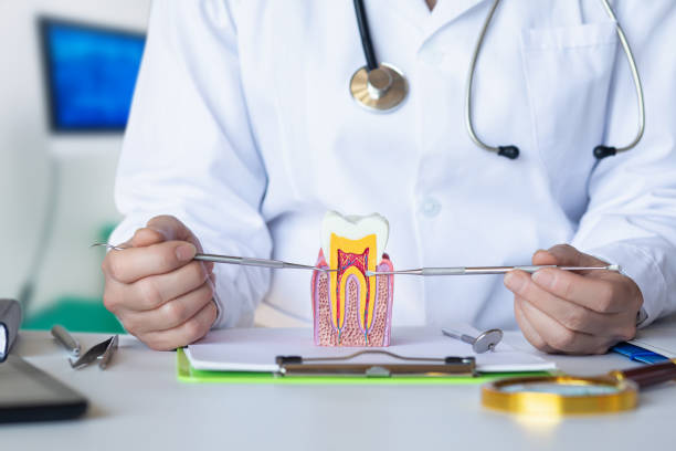 Best Broken or Chipped Tooth Repair in Louisville, MS